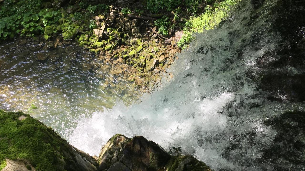 Bosco Delle Rune ..Un Angolo Di Paradiso Platischis Dış mekan fotoğraf
