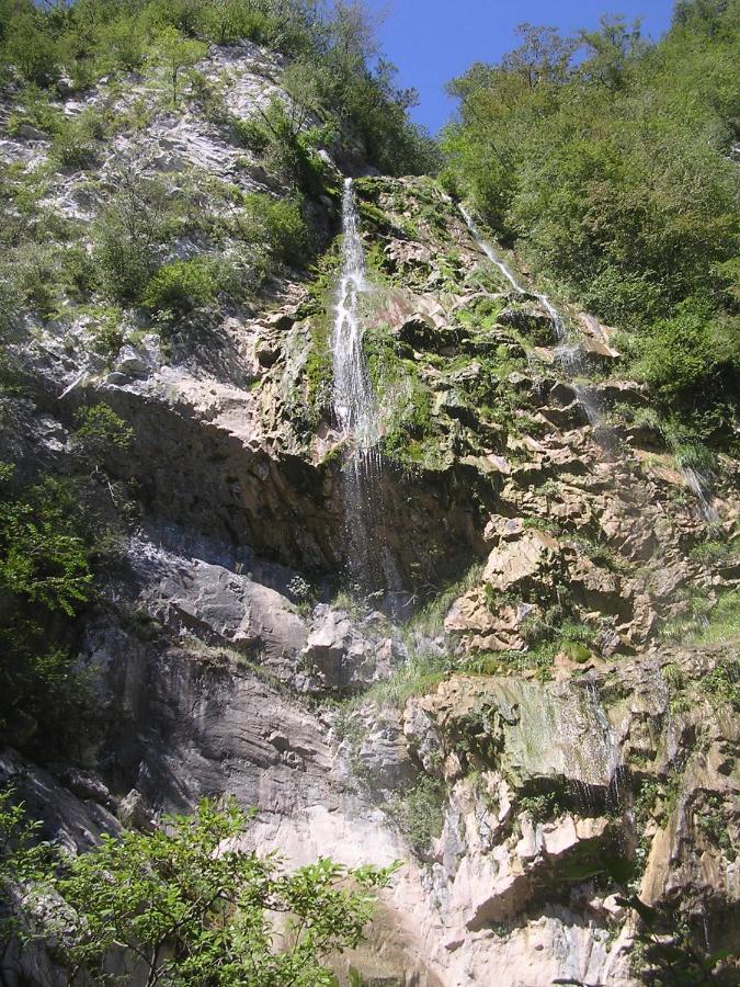 Bosco Delle Rune ..Un Angolo Di Paradiso Platischis Dış mekan fotoğraf