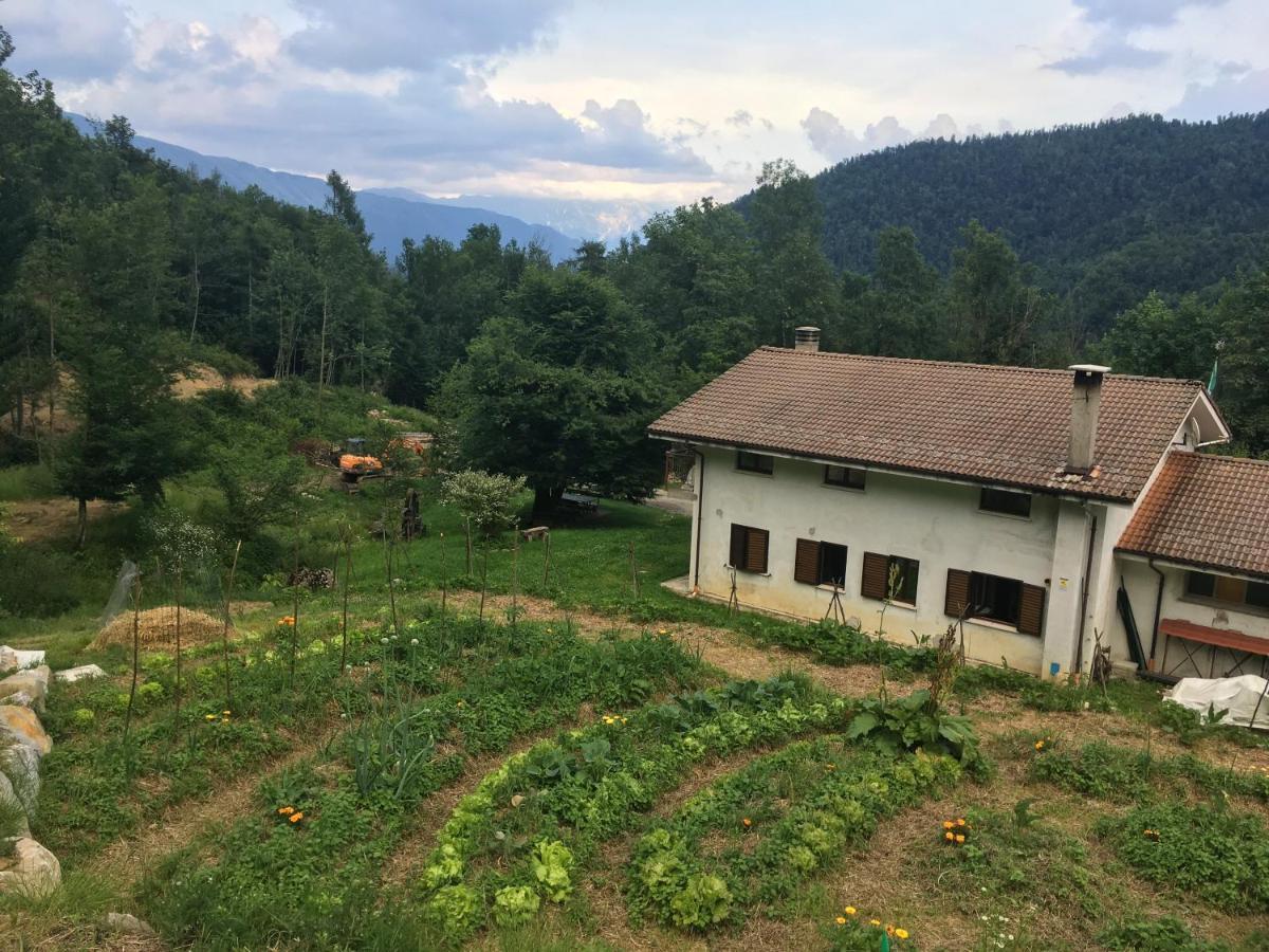 Bosco Delle Rune ..Un Angolo Di Paradiso Platischis Dış mekan fotoğraf